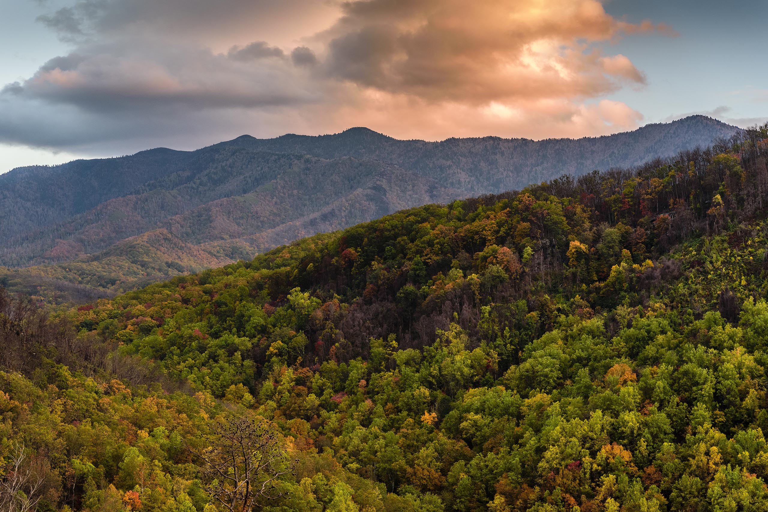Get in the fall spirit with one of these fun events around East Tennessee – WVLT